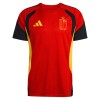 Belgie Dětské Tréninkový Dresy Mistrovství Světa 2026 Červená Krátký Rukáv (+ trenýrky)