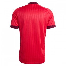 Fotbalové dres Olympique Lyon Venkovní 2026-27 Krátký Rukáv