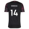 Fotbalové dres Liverpool Chiesa 14 Alternativní 2026-27 Krátký Rukáv